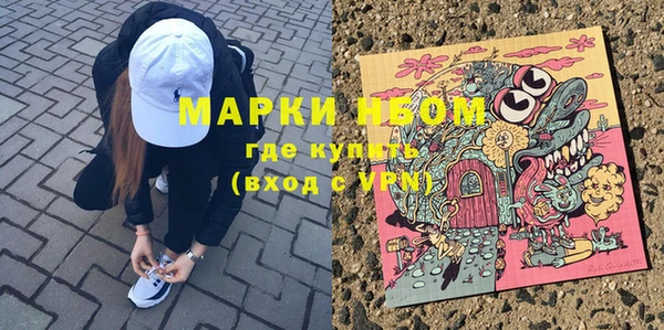 тгк Богородицк