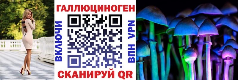 shop как зайти Бронницы Галлюциногенные грибы мицелий